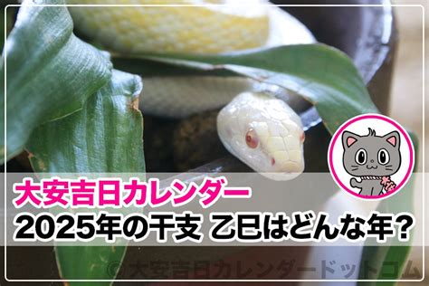 乙巳年 性格|乙巳（きのとみ）はどんな年？生まれの性格や特徴を。